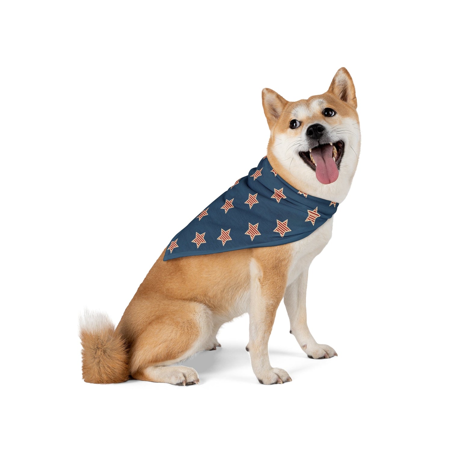 Dog Gear & Accessories