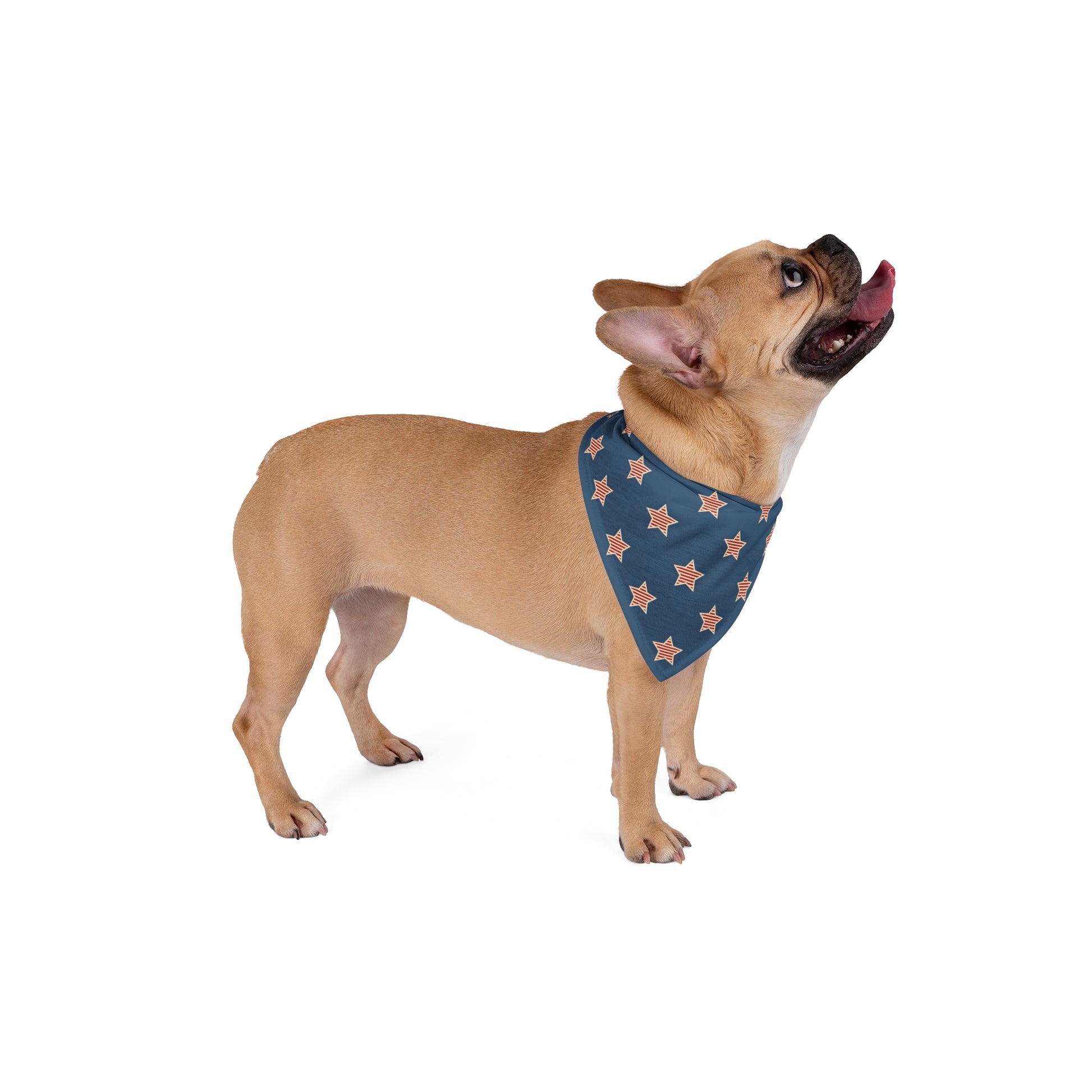 Patriotic American Flag Dog Bandana – USA Stars & Stripes Pet Scarf for 4th of July, Memorial Day & Everyday Wear - The American Glory 